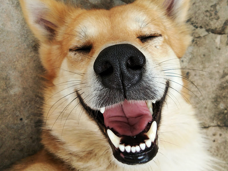 Mental Health Therapy: Pacific Psychotherapy Associates